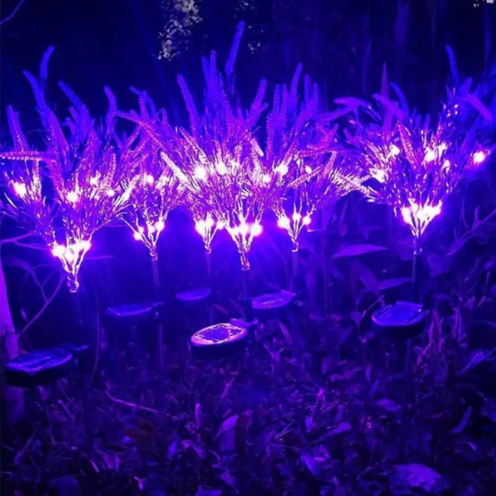 Purple LED Solar Lavender Ligh - đánh giá và giá Outdoor Lighting Unit