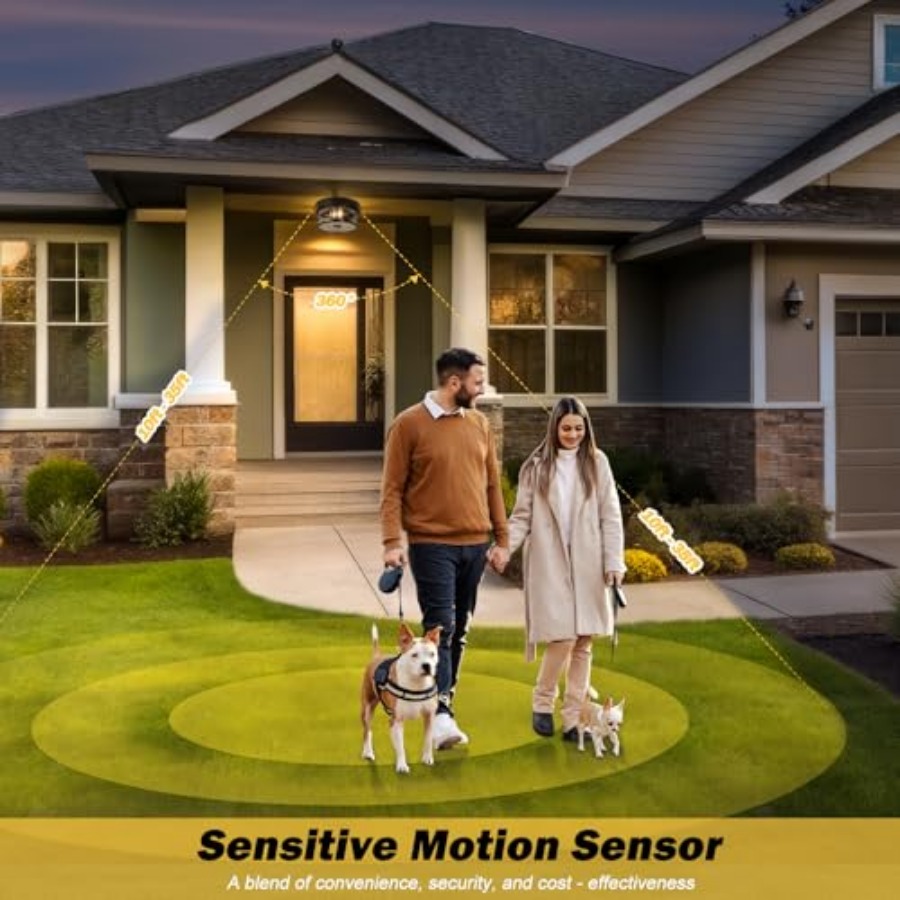 Motion Sensor Outdoor Ceiling  - đánh giá và giá Outdoor Lighting Motion Sensor