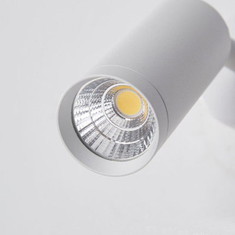Nordic Surface Mounted Adjusta - đánh giá và giá Outdoor Lighting Track